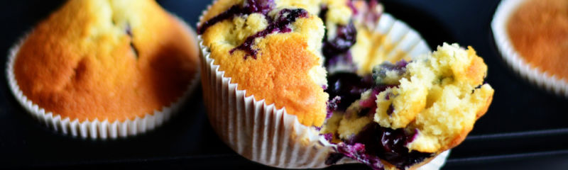 Blaubeer-Buchweizen-Muffins – Heilpraktikerschule Westfalen in Hamm