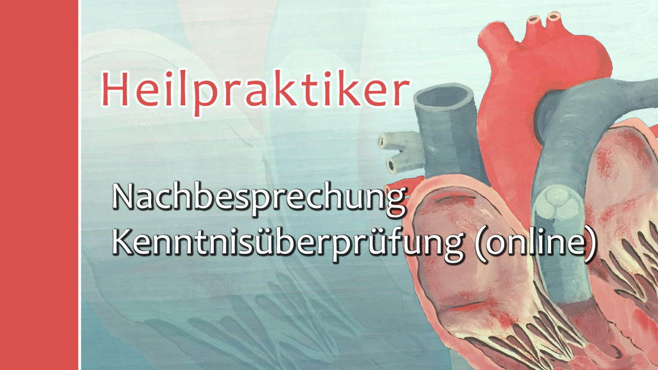 Nachbesprechung HP Kenntnisüberprüfung